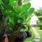 Lovina Beachhouse Villas - Lovina
