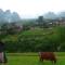 Foto: Yangshuo Xingping This Old Place International Youth Hostel 5/92