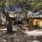 Camping Cala Nova