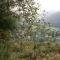 Chalet Ardenne Mini