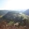 Chalet Ardenne Mini