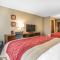 Comfort Inn PA Turnpike - I-81 - Карлайл