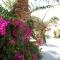 Violetta Hotel - Amoudara, Iraklio