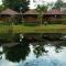 Busai Country View