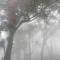 Wild Window - Forest View Homestay - Теккади