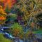 Tateshina Shinyu Onsen - Chino