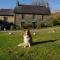 Nantgwynfaen Organic Farm Wales - Llandysul