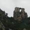 Les Asphodèles
