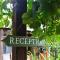 Country Lane Guesthouse