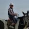 Vast Mongolia Tour & Hostel - Ulaanbaatar