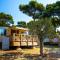 Arena Indije Mobile Homes
