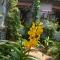 Foto: The Hoi An Orchid Garden Villas 68/77