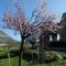 Auberge du prieure photo 20