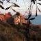 Corner of Paradise near Cinque Terre