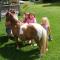 Pukenui Holiday Park
