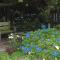 Foto: Folster Gardens Bed and Breakfast 13/17