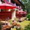 Hotel La Neige