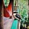 Foto: Narrows Escape Rainforest Retreat 5/49