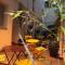 The Loft Boutique Hostel photo 20