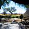 Auas Safari Lodge - Windhoek