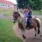 Gîte et Relais Equestre de Marie - Tours-en-Vimeu