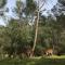 La Cerca Del Alcornoque