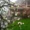 Sapa Garden Bed and Breakfast