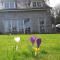 B&B La Buissonniere