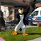 Puffin Inn