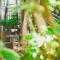 Cocos Cabañas Playa del Carmen Adults Only