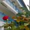 Hotel Dellis