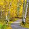 Black Butte Ranch: Hedge Nettle Cabin