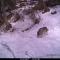 RIFUGIO AL LAGO DEL MORTIROLO in inverno raggiungibile solo a piedi