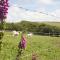 Mullacott Farm