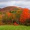 Mountain Treasure Bed and Breakfast