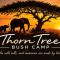 Thorn Tree Bush Camp