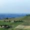 Agriturismo Il Bricco - 特雷伊索