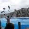 Olympic Batumi
