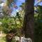 Buccaneer Beach Club