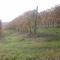 Agriturismo Il Ciabot