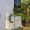 Villa Eva Luxury Akumal