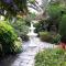 Mi Jardin