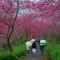 Qingshan Homestay