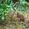 Mt Glorious Getaways
