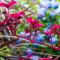 Mt Glorious Getaways
