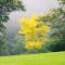 Mt Glorious Getaways