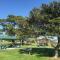 Lazy Dayz Shellharbour