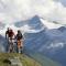 Aparthotel Garni Schranz - Wald im Pinzgau