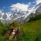 Eiger Guesthouse