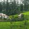 Green Nest Resort Ooty